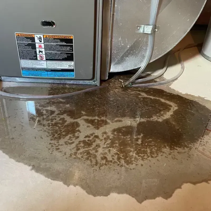 Appliance Leak Cleanup in Homer Glen, IL